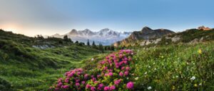 Beau panorama Suisse, au printemps | X-Plorers