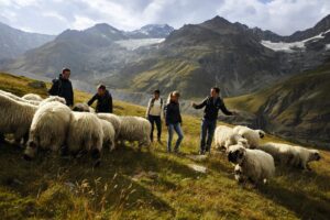 Séjour en été en Suisse pour les entreprises | X-Plorers