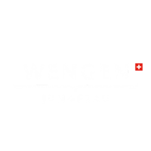 Votre séjour à Wengen en tout compris | X Plorers