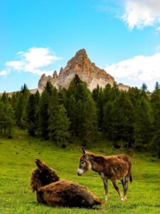 Destination Cortina en été, voyage tout compris | X-Plorers