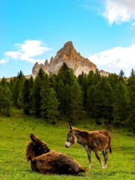 Destination Cortina en été, voyage tout compris | X-Plorers