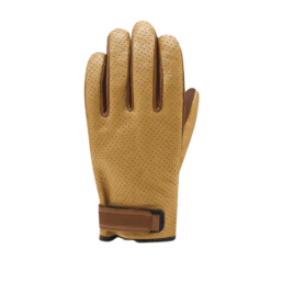 Le meilleur des gants de ski - Racer | X-Plorers